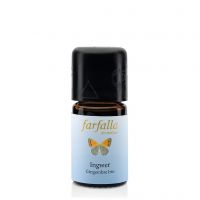 FARFALLA Ingwer bio Grand Cru, 5ml FARFALLA Ingwer bio Grand Cru, 5ml