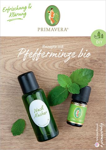 PRIMAVERA DIY Rezeptkarte Pfefferminze bio