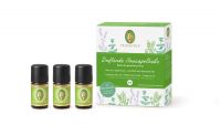 PRIMAVERA Geschenkset Duftende Hausapotheke, 3x5ml PRIMAVERA Geschenkset Duftende Hausapotheke, 3x5ml