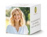 PRIMAVERA Dekowürfel Primavera PRIMAVERA Dekowürfel Primavera