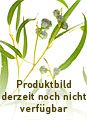 PRIMAVERA Display für Din A6 Info- &amp; Rezeptkarten